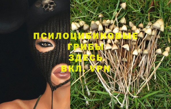 COCAINE Белокуриха